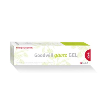 GOODWILL GAVEZ GEL GOODWILL GAVEZ GEL
