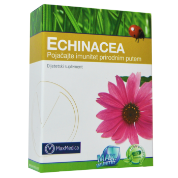 ECHINACEA ECHINACEA
