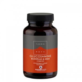 TERRANOVA GLUCOSAMINE BOSWELLIA MSM