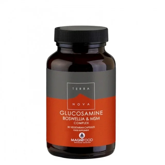 TERRANOVA GLUCOSAMINE BOSWELLIA MSM