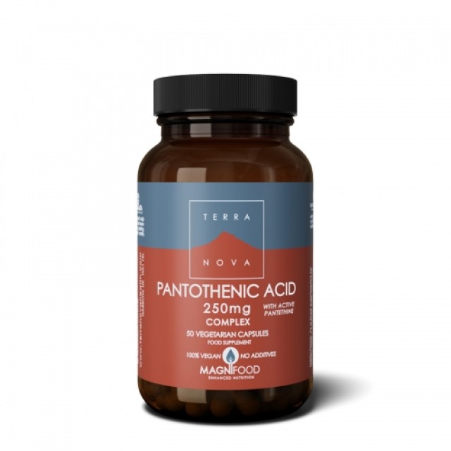 TERRANOVA PANTOTENSKA KISELINA 250mg - Online Apoteka TERRANOVA PANTOTENSKA KISELINA 250mg