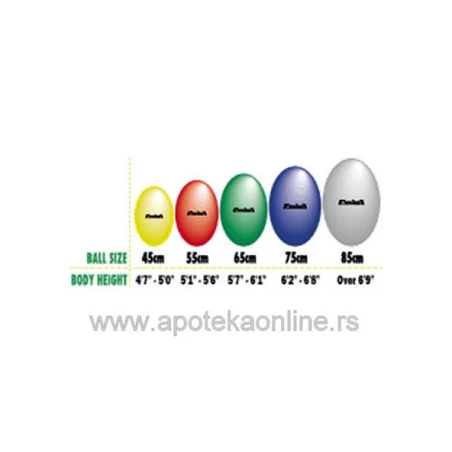 THERA BAND ABS GIMNASTIČKA LOPTA 65CM ZELENA