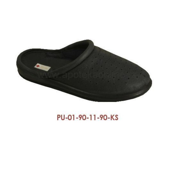 PU-01-11-KS