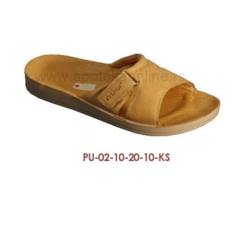 PU-02-20-KS
