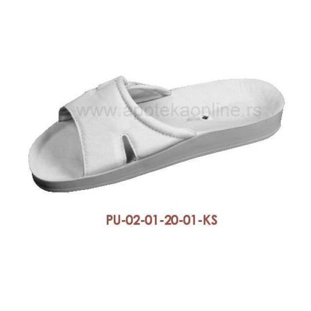 PU-02-20-KS
