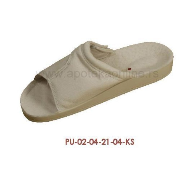 PU-02-21-KS