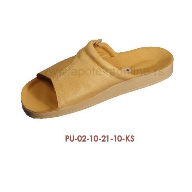 PU-02-21-KS