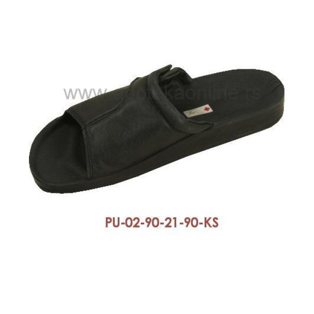 PU-02-21-KS