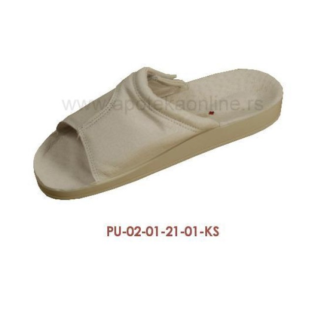 PU-02-21-KS