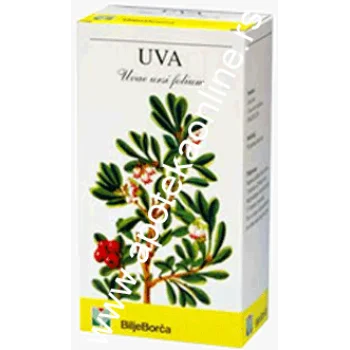 UVA UVA